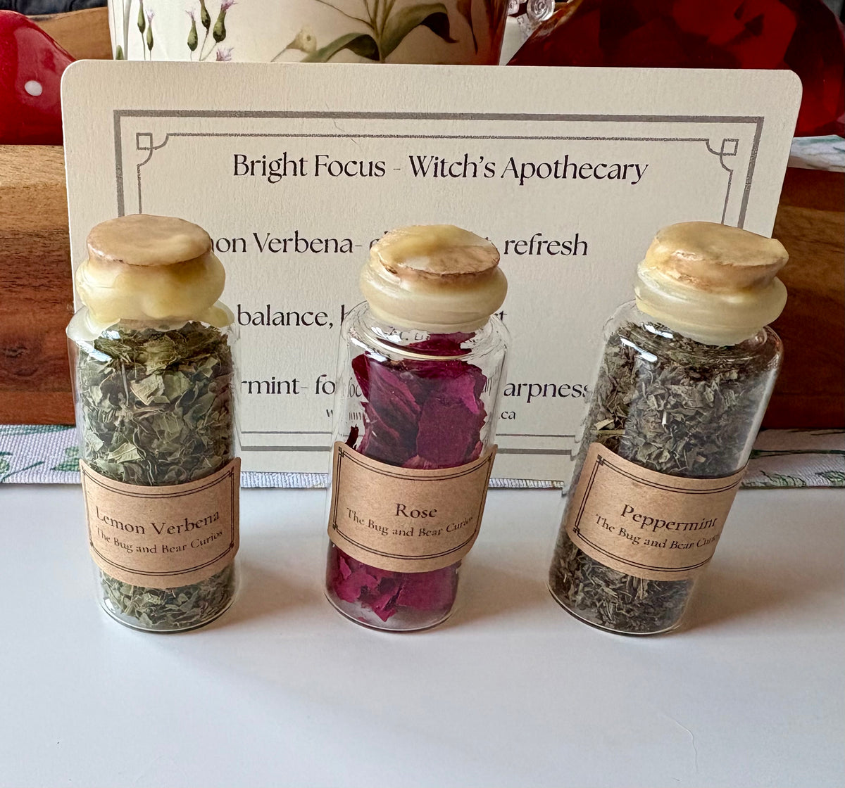 Witch’s Apothecary — Bright Focus