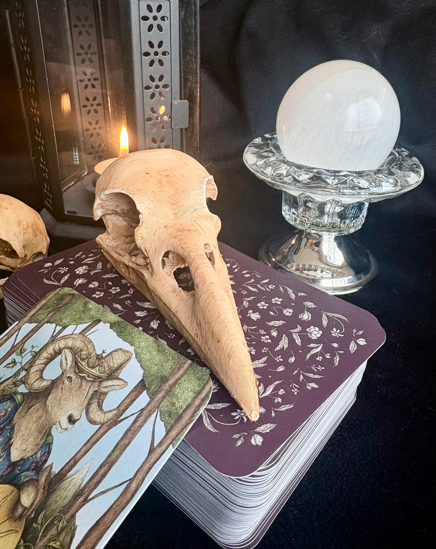 Tarot - Through The Veil - Personal Intuitive Readings