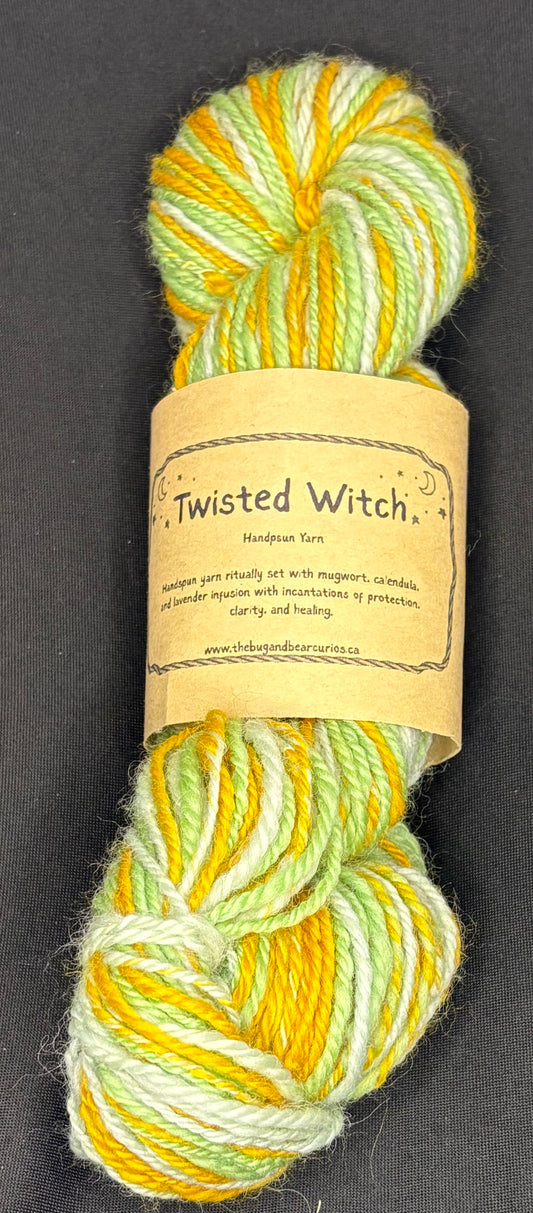 Twisted Witch Handspun Yarn - Spring Day Wool