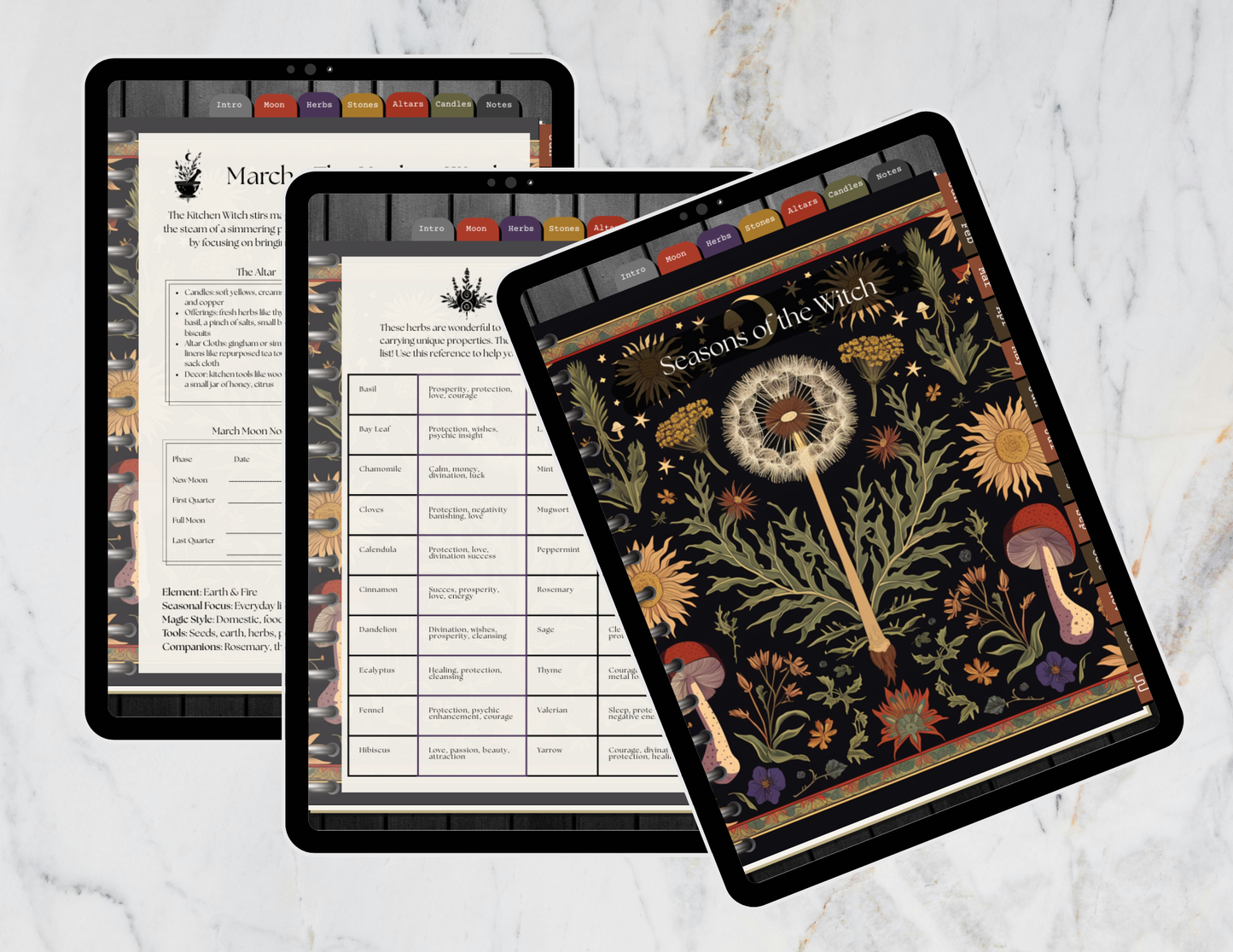 Seasons of the Witch: A Perpetual Discovery Guide to the Craft