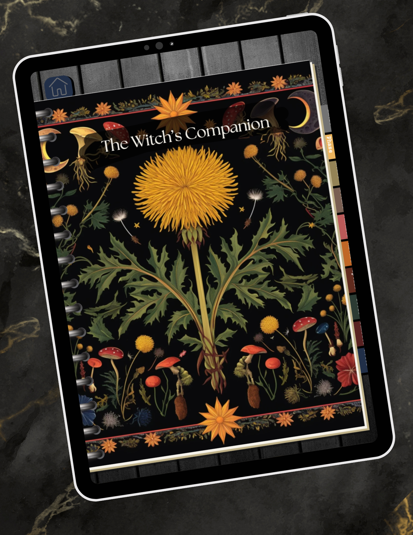 The Witch's Companion - A Practical Guide to Tools, Correspondences, and Everyday Magic