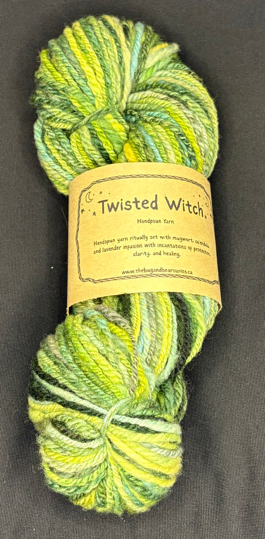 Twisted Witch Handspun Yarn - Forest Streams Wool