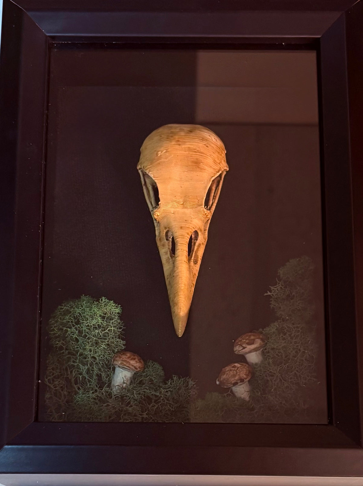 Forest Raven Relic — Framed Curio