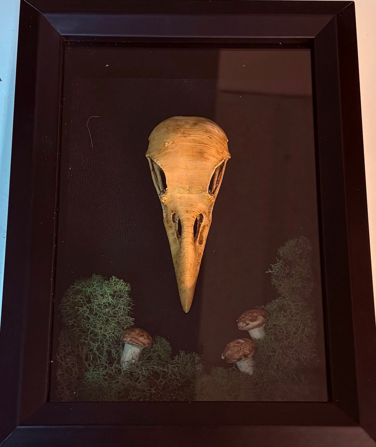 Forest Raven Relic — Framed Curio