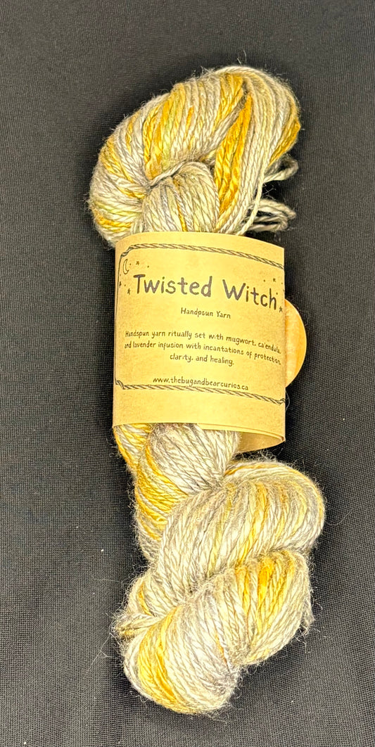 Twisted Witch Handspun Yarn - Rocky Mountain Spring Seacell and Silk