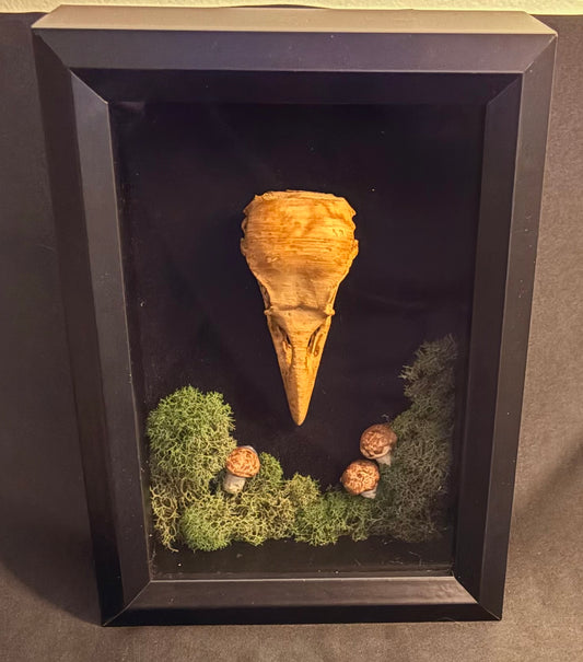 Forest Raven Relic — Framed Curio