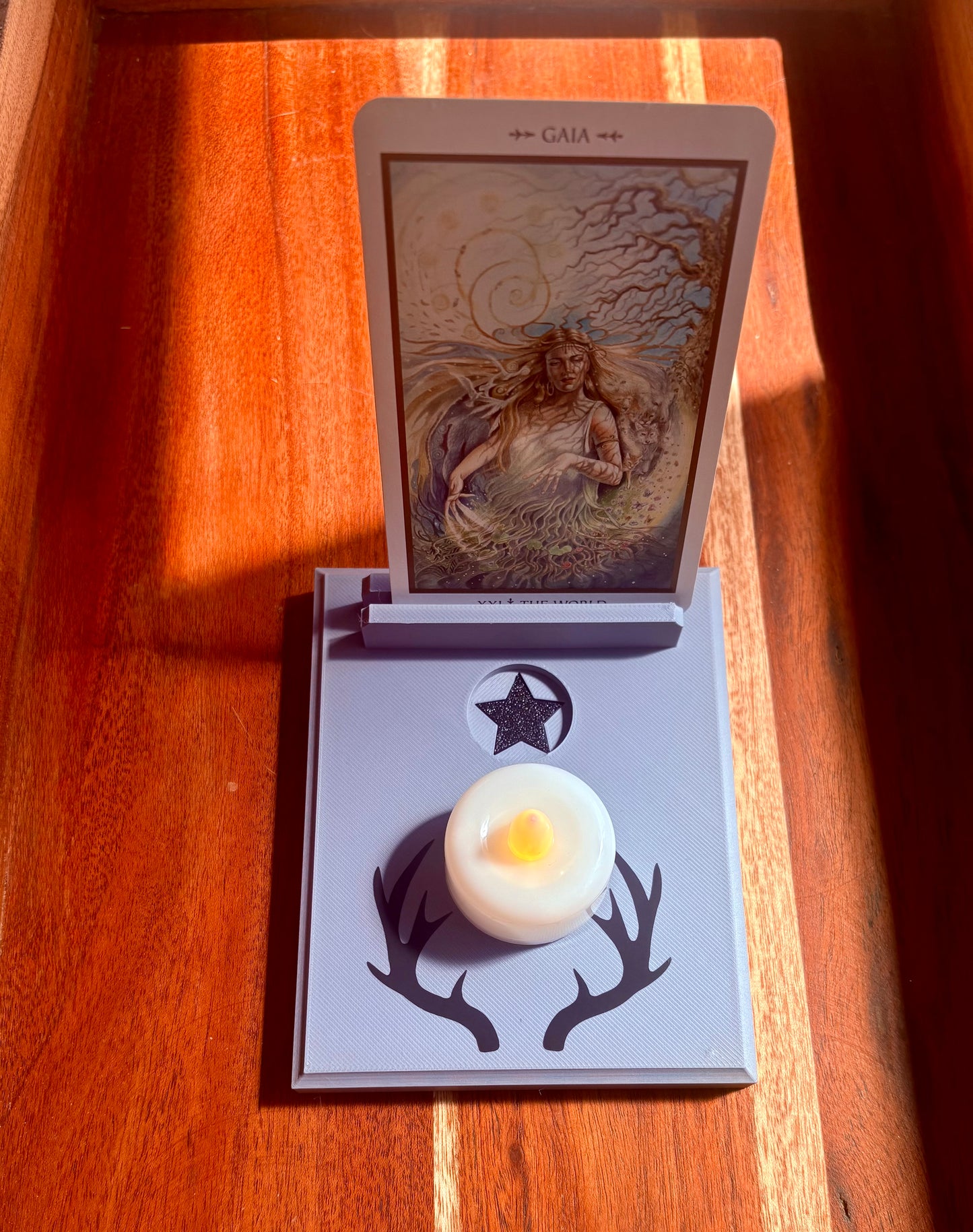 Wildwood Tarot Card Holder