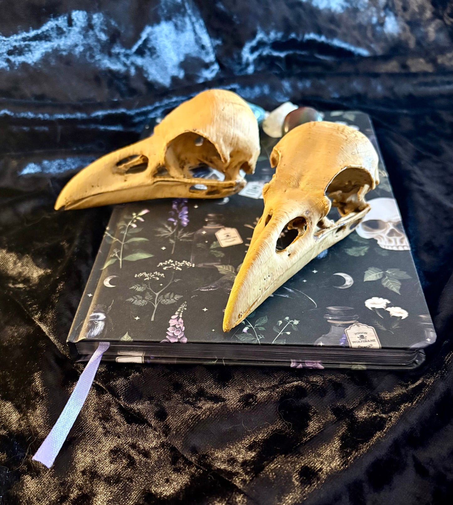 Raven Skull Replica – Hand-Finished Altar & Decor Piece