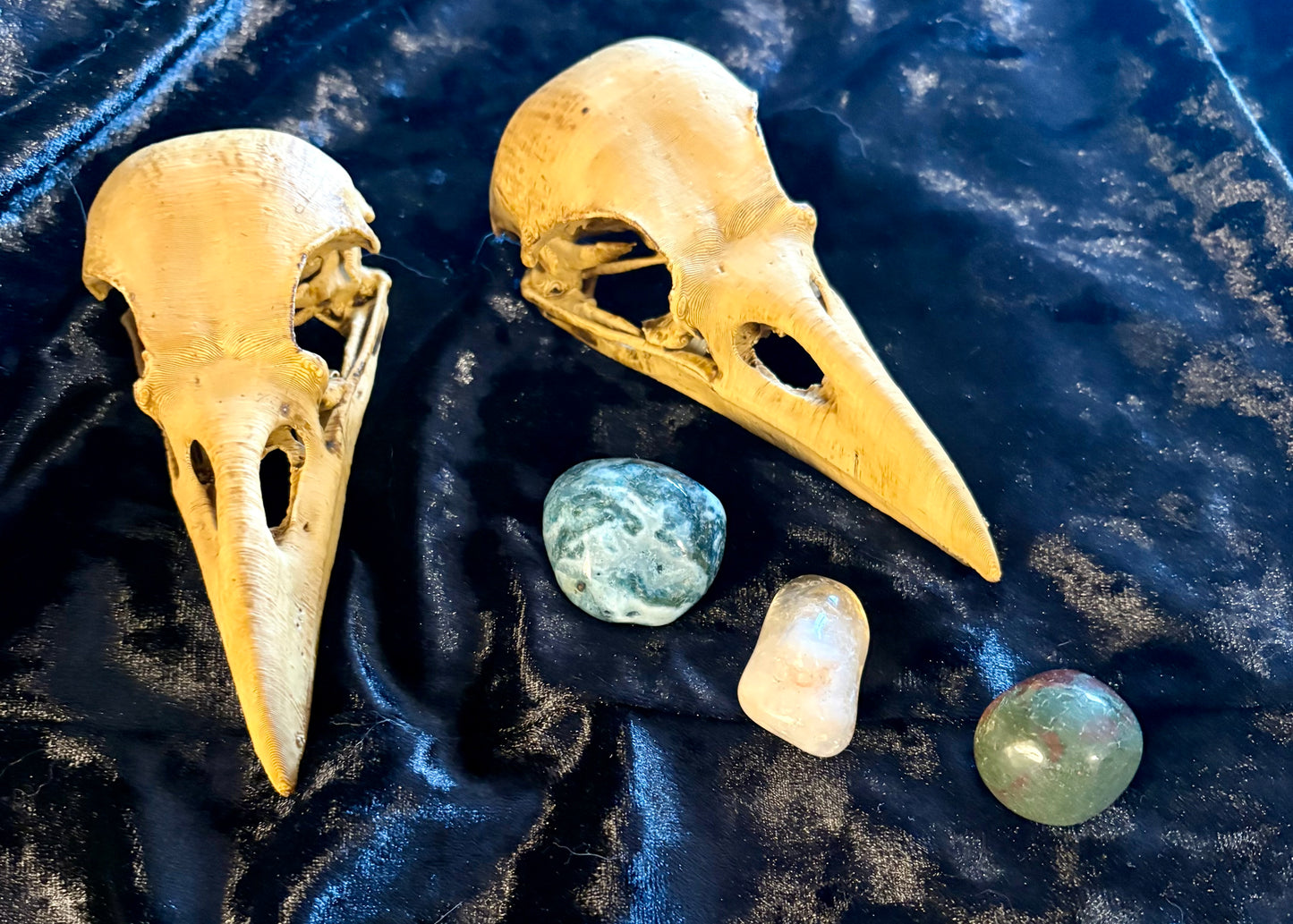 Raven Skull Replica – Hand-Finished Altar & Decor Piece