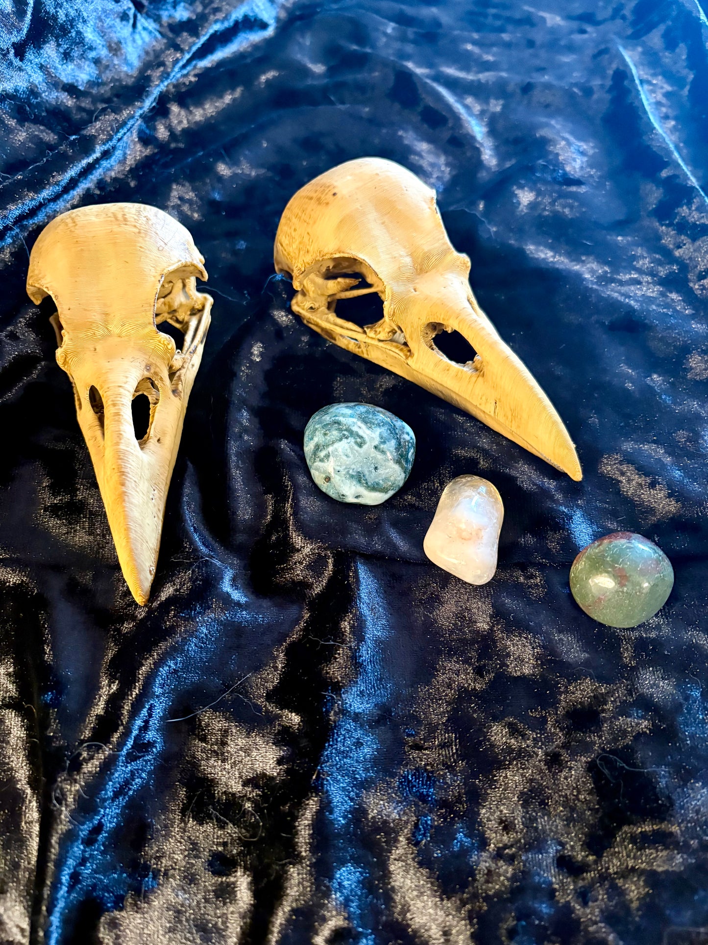 Raven Skull Replica – Hand-Finished Altar & Decor Piece