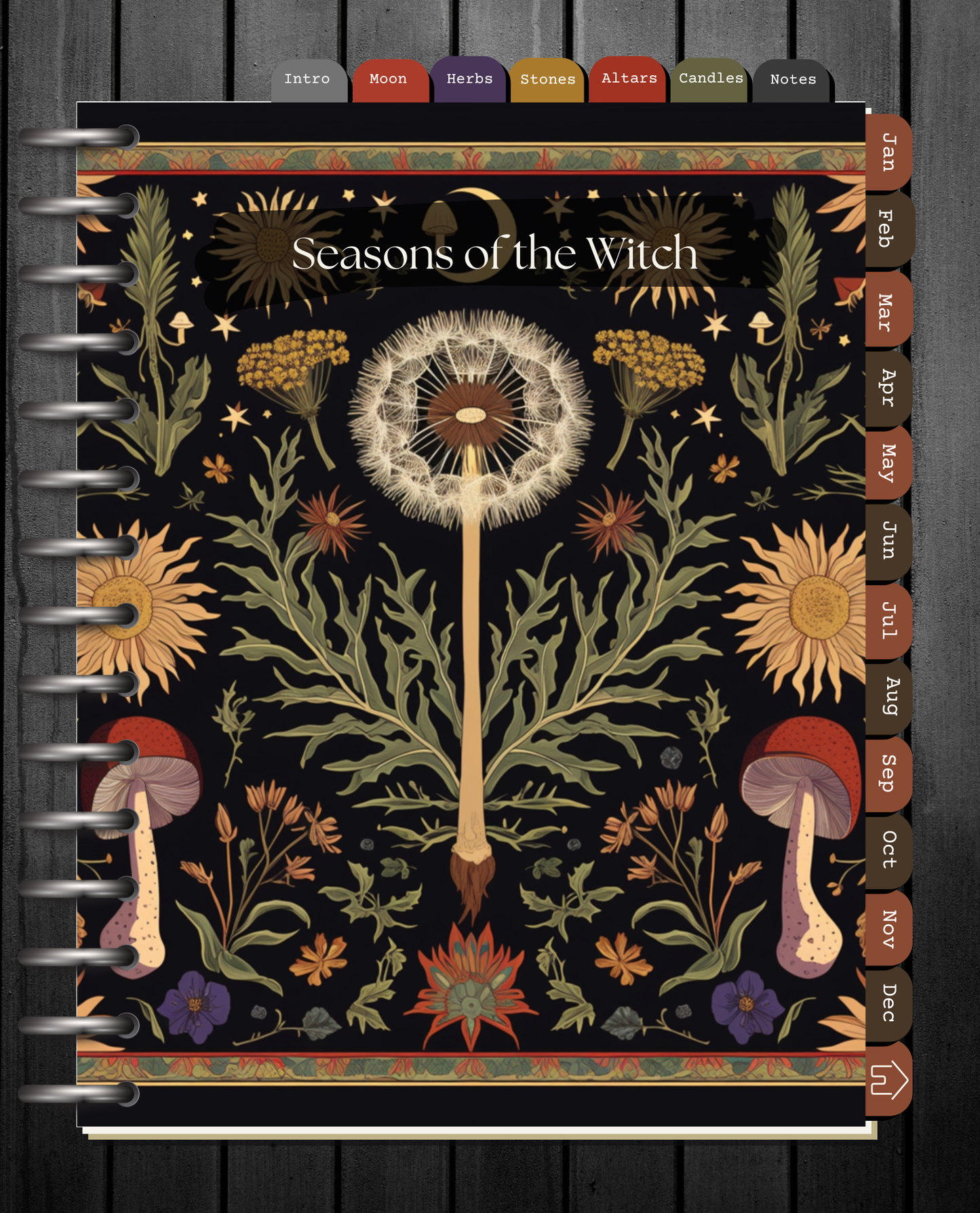 Seasons of the Witch -  A Perpetual Discovery Guide to the Craft - Month By Month